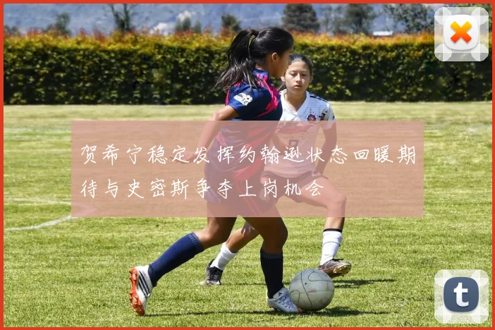贺希宁稳定发挥约翰逊状态回暖期待与史密斯争夺上岗机会