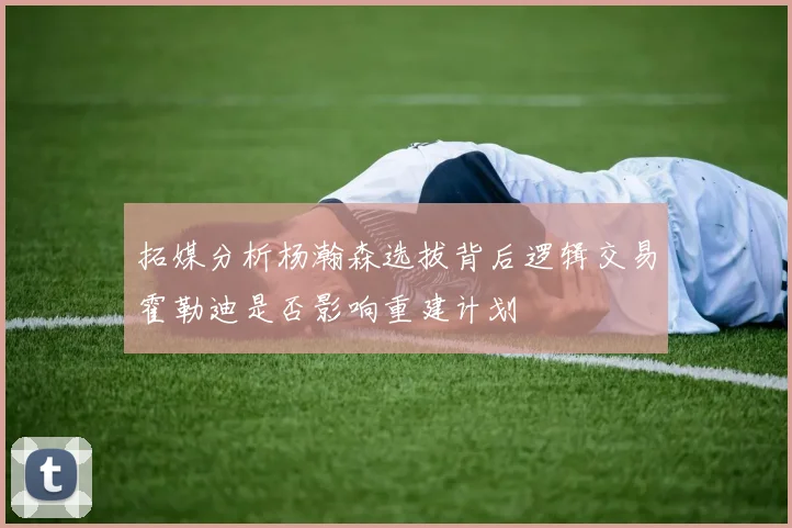 拓媒分析杨瀚森选拔背后逻辑交易霍勒迪是否影响重建计划